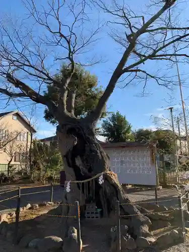 諏訪神社のその他建物