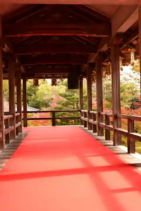光明寺(粟生光明寺)(京都府)