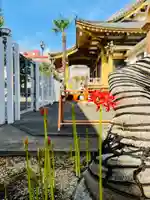 福王山 慈眼寺の自然