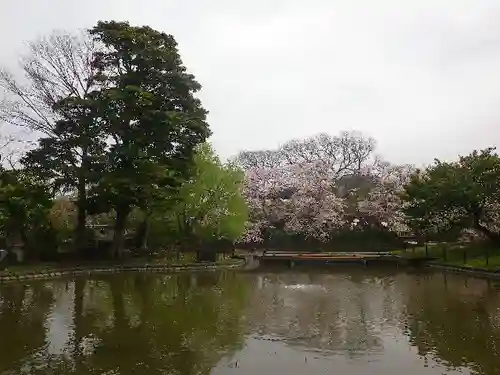 鶴岡八幡宮の庭園