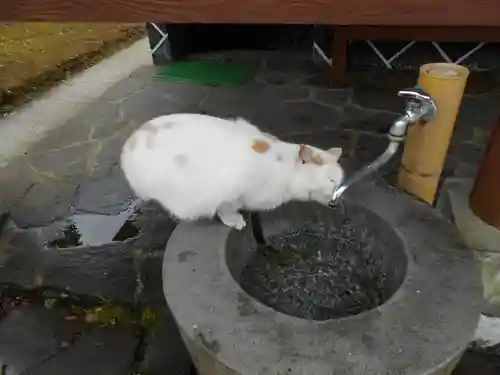 清水神社(鹿児島県)