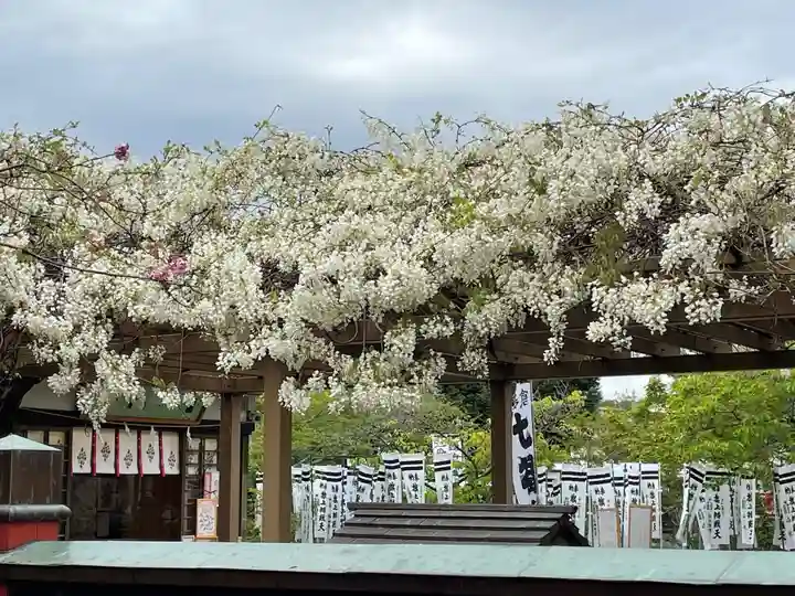 旗上弁財天社の自然