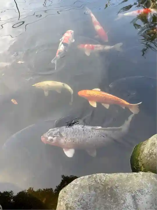 熊野神社(山形県)