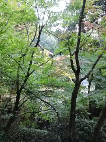 金剛輪寺(滋賀県)