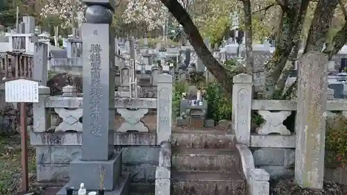 法泉寺のお墓