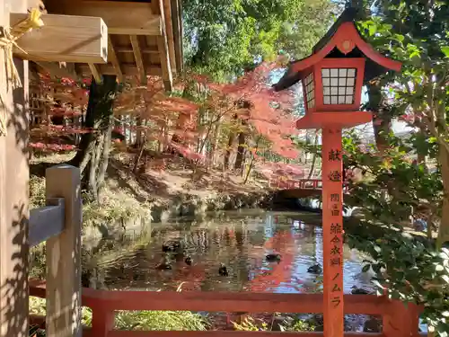 間々田八幡宮(栃木県)