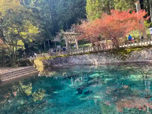 嚴島神社(山口県)