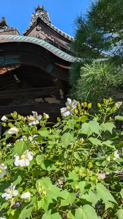 得浄明院(善光寺別院)(京都府)