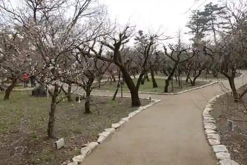 北野天満宮の庭園