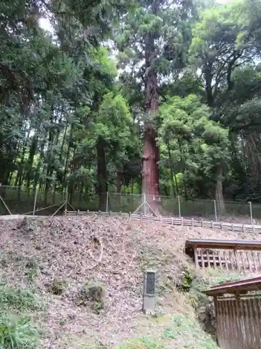 武田八幡宮の建物その他