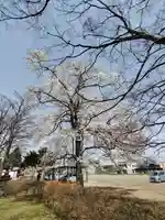 厚別神社(北海道)