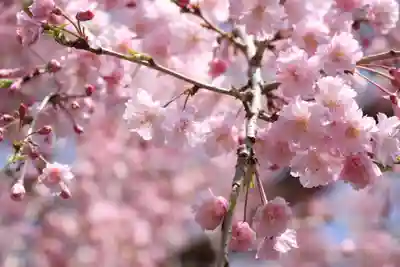 太平山神社(栃木県)