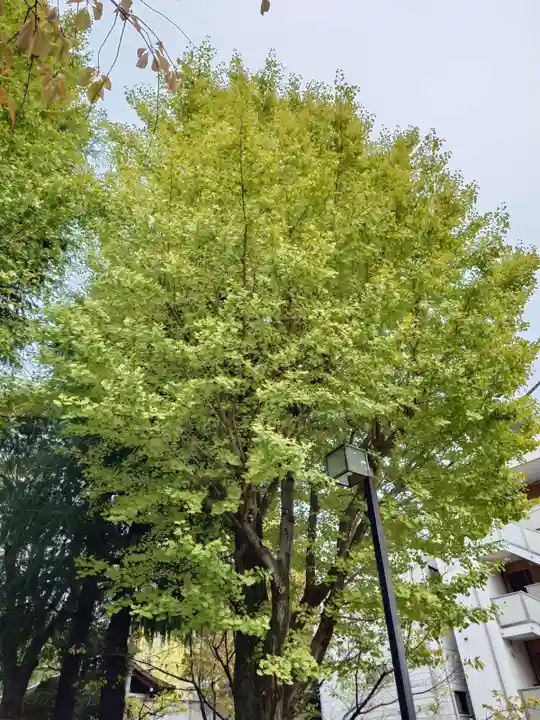 亀戸 香取神社(東京都)