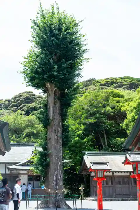 宗像大社中津宮(福岡県)