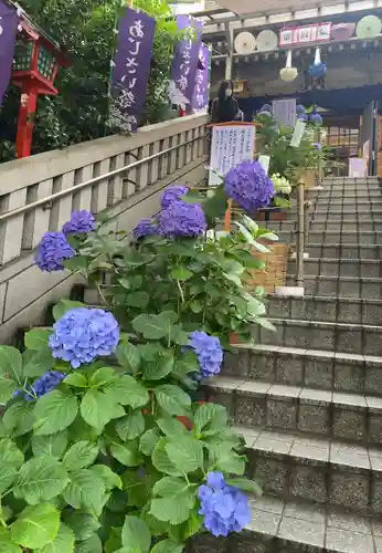 十番稲荷神社の庭園