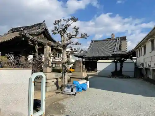 光明寺の庭園