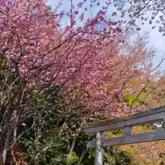 立志神社(滋賀県)