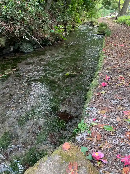 木曽三社神社の自然