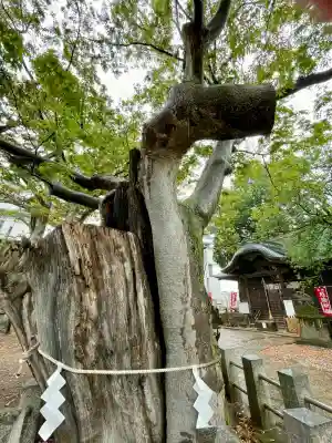 阿邪訶根神社(福島県)