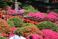 根津神社の庭園