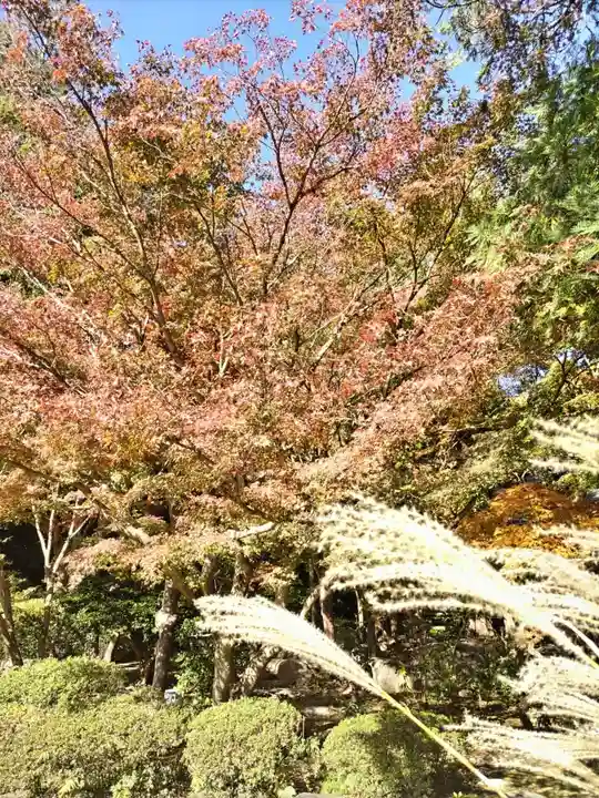 覚園寺(神奈川県)