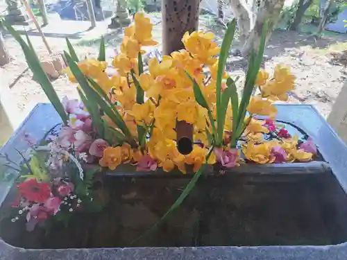 坂本八幡神社(徳島県)