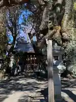 日限富士浅間神社の本殿・本堂