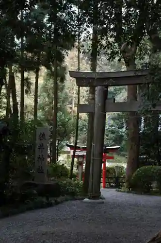 大神神社の鳥居