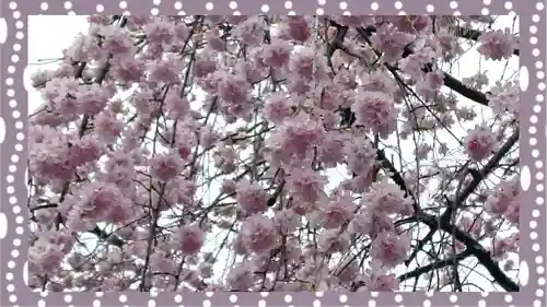 寛永寺(根本中堂)(東京都)