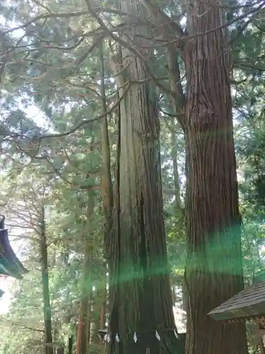 鷲子山上神社の自然