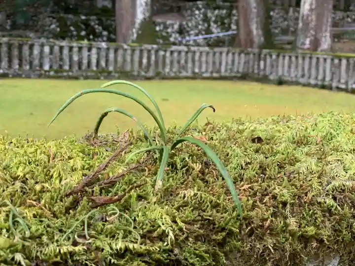 身延山 祖廟拝殿の自然