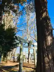 岡見八坂神社の建物その他