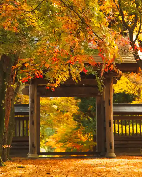 泉龍寺(群馬県)