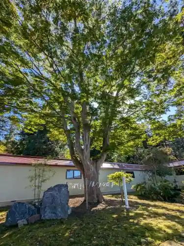 仁木神社(北海道)