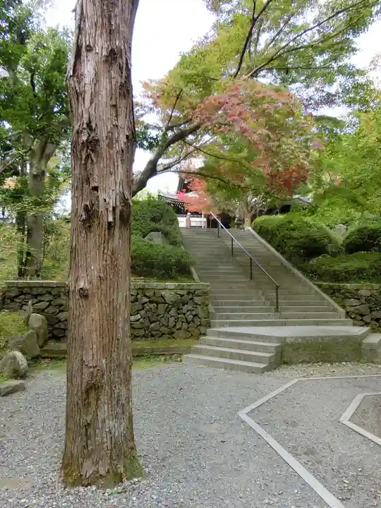 今熊野観音寺のその他建物