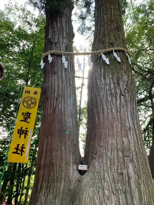 聖神社のその他建物