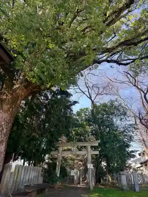 泊神社(兵庫県)