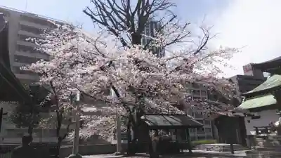 熊野神社のその他建物