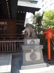 蔵前神社の狛犬