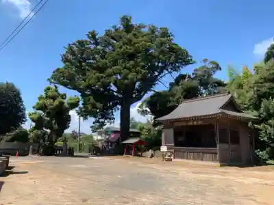 松澤 熊野神社(千葉県)