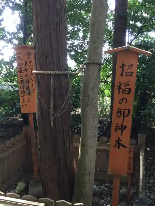 櫛田神社の自然