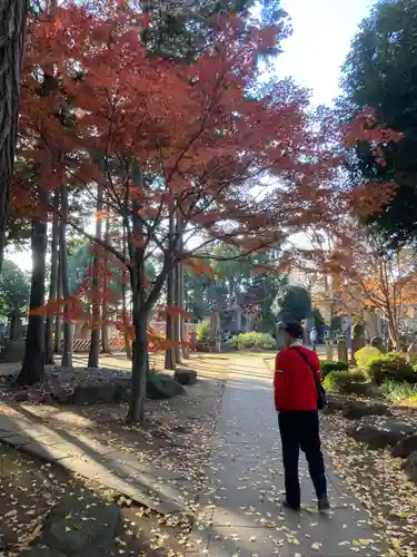 豪徳寺(東京都)