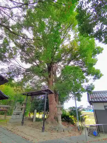 立部社（北市場町）の自然