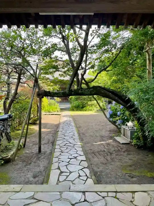 教恩寺(神奈川県)