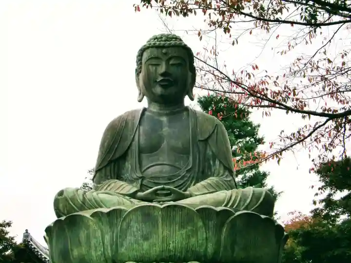 護国寺(東京都)