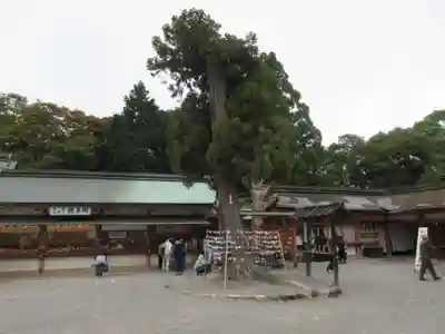 石清水八幡宮のその他建物
