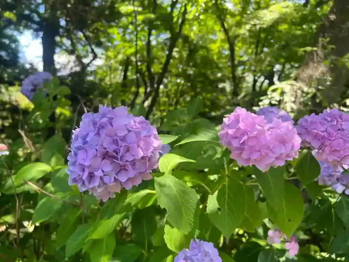 三春大神宮(福島県)