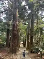 日吉神社(千葉県)