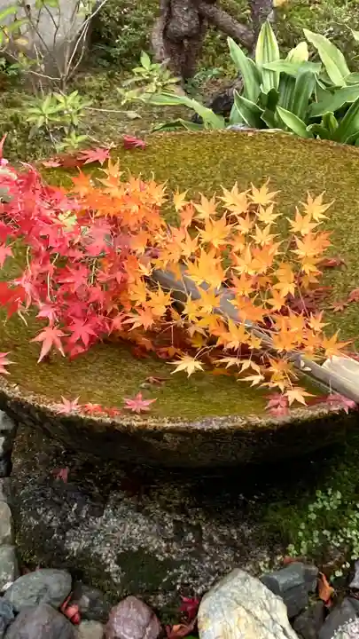 圓光寺(京都府)