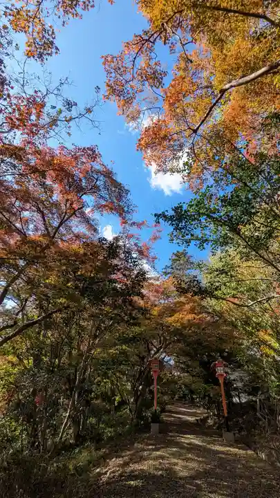 十輪寺(京都府)